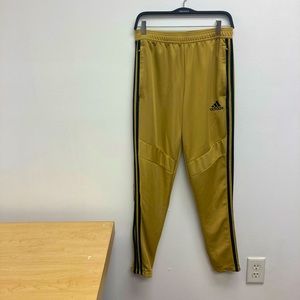 Mens Gold Adidas Track Pant